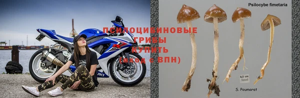a pvp Вязники